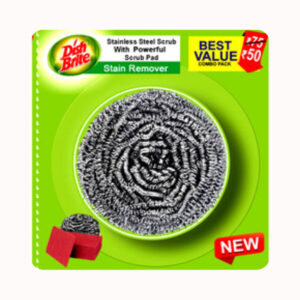 Stainless Steel Scrubber with scrub pad